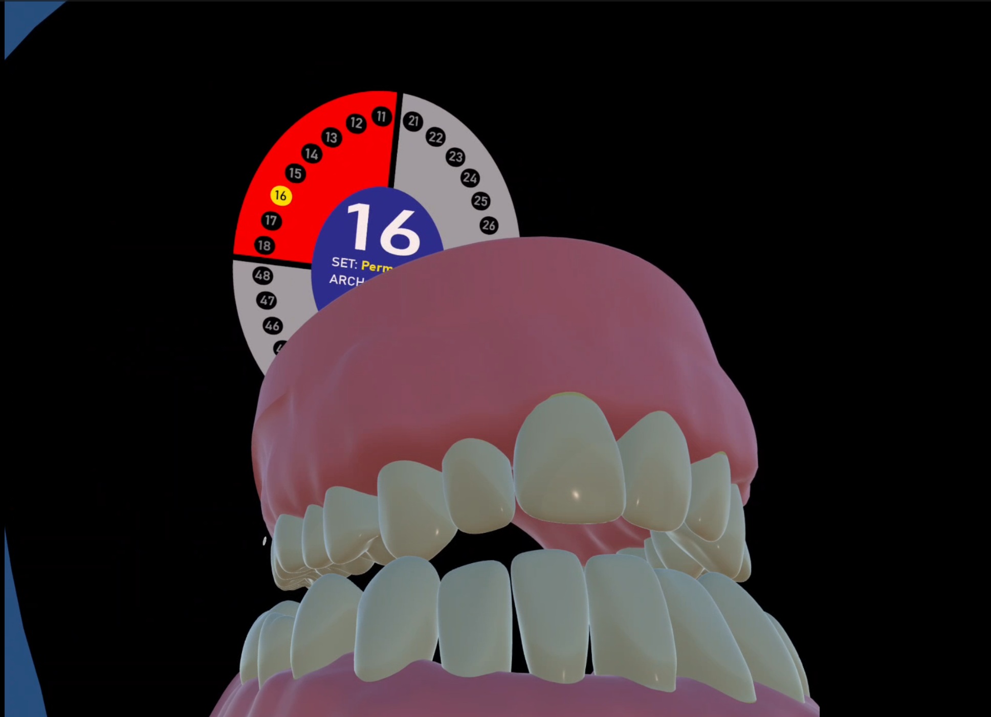 VR Tooth Atlas Slide 2